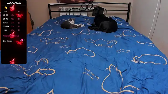 eva zero online show from October 5, 3:32 pm