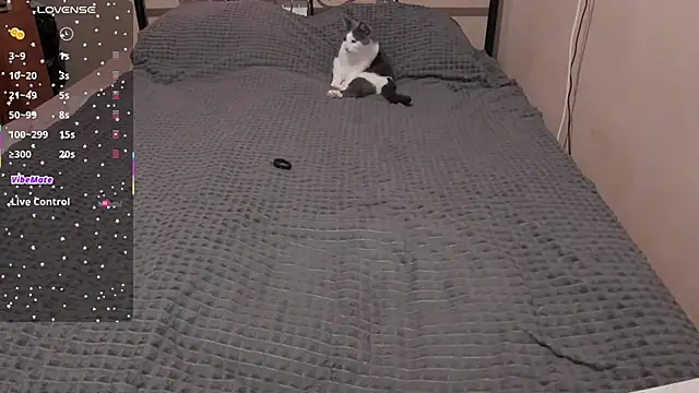 eva zero online show from March 28, 11:10 am