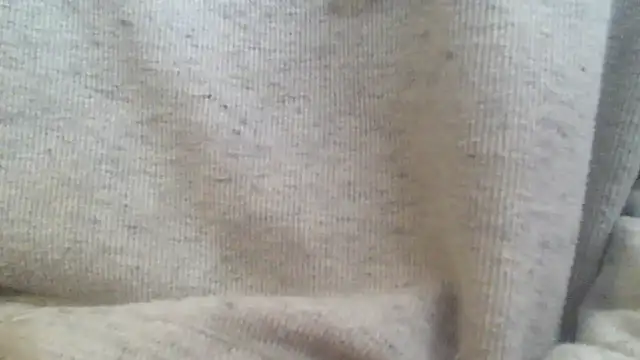 OralDesires2 online show from February 17, 3:20 pm