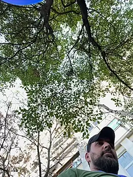 TigerOne19 online show from October 29, 10:17 am