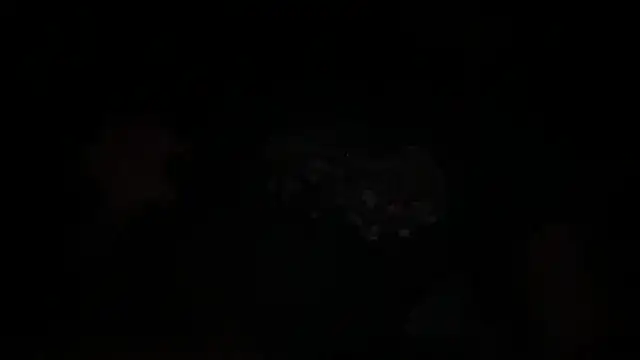 Snapshot of waveonce- chatting on December 14, 7:36 am waveonce- online show from December 14, 7:36 am