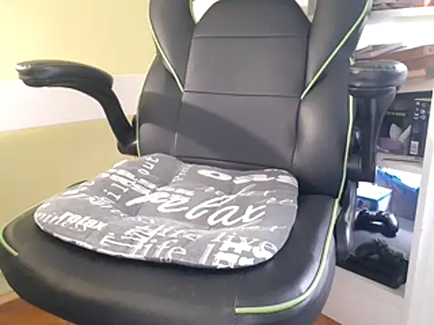 Snapshot of feathersify chatting on November 4, 1:21 pm feathersify online show from November 4, 1:21 pm