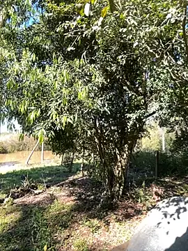 AliceStone19 online show from September 10, 5:24 pm