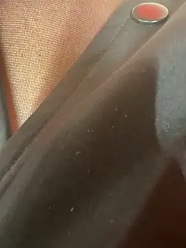 Snapshot of CrazzyChicks chatting on February 13, 5:03 am CrazzyChicks online show from February 13, 5:03 am