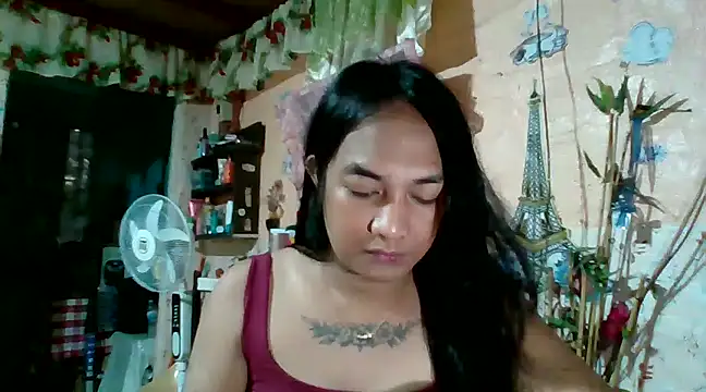xxxstellastelarxxx online show from January 31, 7:07 am