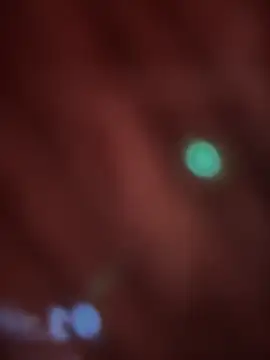  Danna online show from February 14, 11:07 am