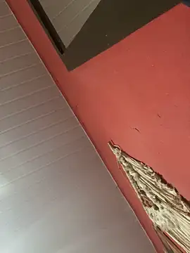 Snapshot of pimenta_gaby chatting on November 4, 11:09 am pimenta gaby online show from November 4, 11:09 am