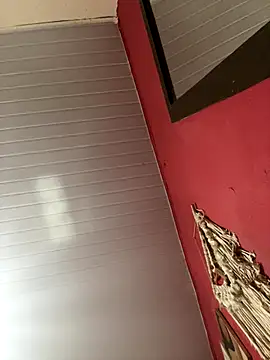 Snapshot of pimenta_gaby chatting on November 15, 2:13 pm pimenta gaby online show from November 15, 2:13 pm