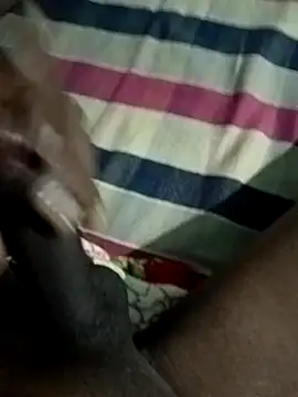 Like african online show from April 19, 8:44 pm