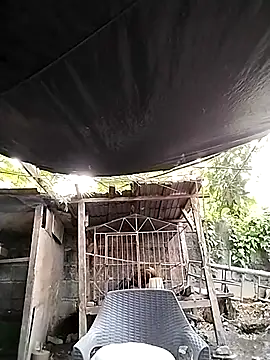 MS Isabella Snow92 online show from February 22, 10:42 pm