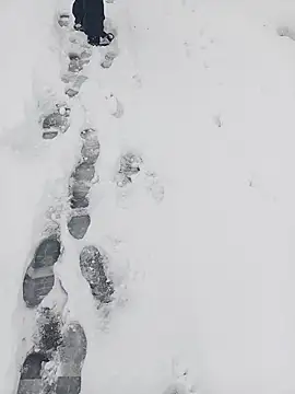 Snapshot of Saysomething3 chatting on January 11, 7:57 am Saysomething3 online show from January 11, 7:57 am