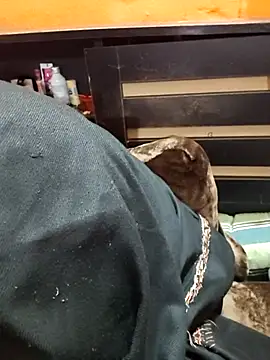 Diya 143 online show from January 12, 6:35 pm