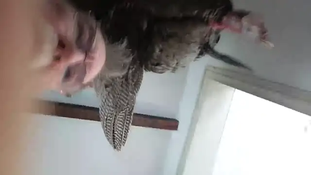 Snapshot of CDforU chatting on February 4, 5:52 pm CDforU online show from February 4, 5:52 pm