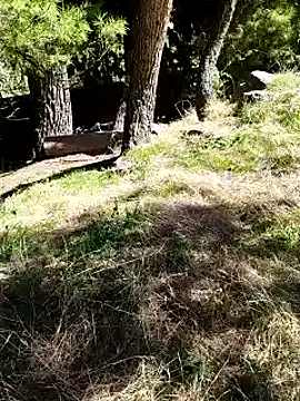 Snapshot of K-27 chatting on October 4, 10:24 am K-27 online show from October 4, 10:24 am