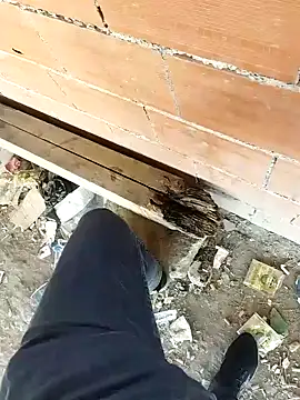 Snapshot of K-27 chatting on October 5, 9:07 am K-27 online show from October 5, 9:07 am