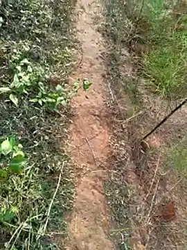 Gopal1243 online show from December 14, 2:01 am