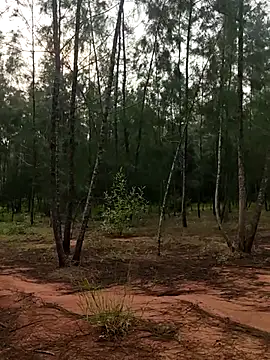 Gopal1243 online show from October 9, 1:58 am