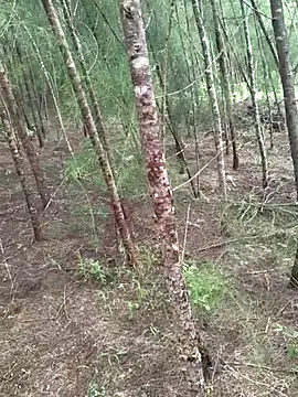 Gopal1243 online show from October 19, 4:46 am