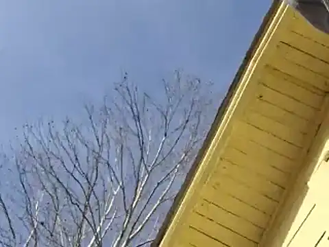 highstepper500 online show from December 26, 2:12 am