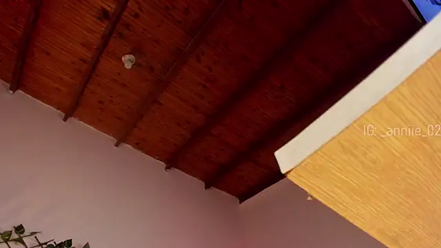 annie barozzi online show from January 16, 4:39 pm