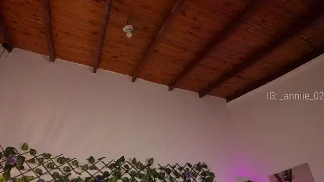 annie barozzi online show from January 23, 1:35 pm