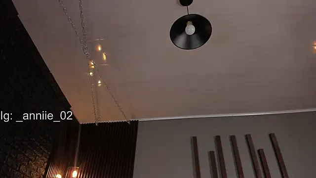 annie barozzi online show from February 27, 4:43 pm