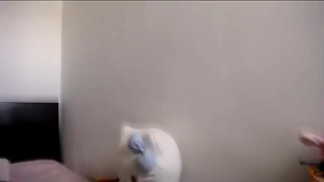 MARIANADIRTY online show from November 11, 2:17 pm