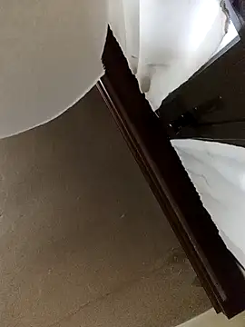 Snapshot of White_rabbit_ chatting on December 11, 4:53 pm White rabbit online show from December 11, 4:53 pm