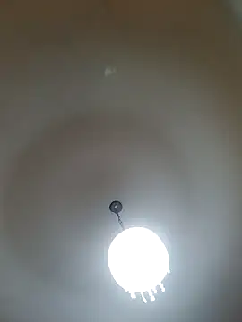 Snapshot of White_rabbit_ chatting on February 26, 7:16 pm White rabbit online show from February 26, 7:16 pm