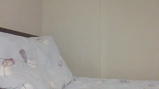 your andy online show from November 19, 6:13 am