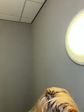 Strongqueen online show from February 13, 6:15 pm