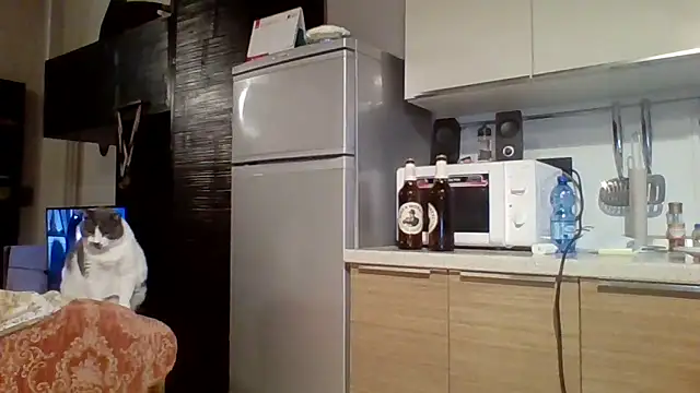 woww791 online show from October 7, 5:43 pm