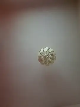 cuci45 online show from March 21, 2:16 am