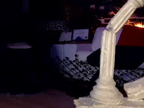 Snapshot of OSIRlS chatting on January 1, 12:00 pm OSIRlS online show from January 1, 12:00 pm