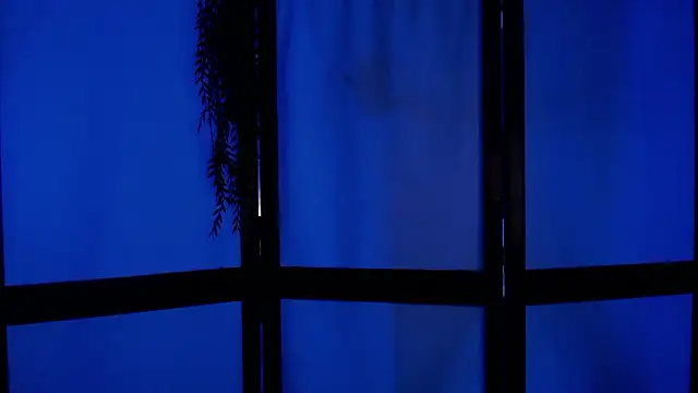 Snapshot of Wildorchid_ chatting on December 2, 4:53 am Wildorchid online show from December 2, 4:53 am