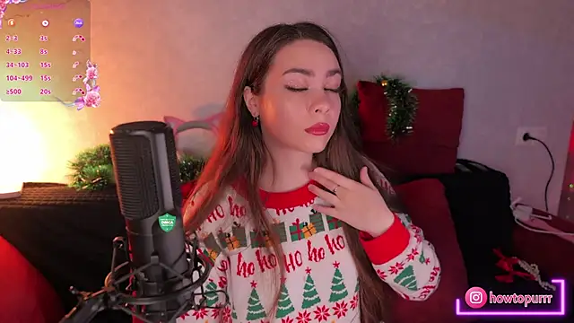 How2Meow online show from December 29, 5:33 pm