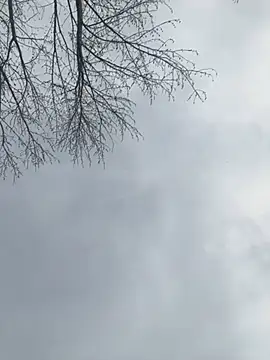 Iceblanca online show from March 19, 9:58 pm