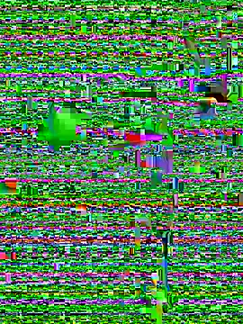 eva six online show from December 20, 6:45 pm