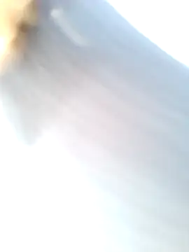 Snapshot of mustican422 chatting on February 25, 10:04 am mustican422 online show from February 25, 10:04 am