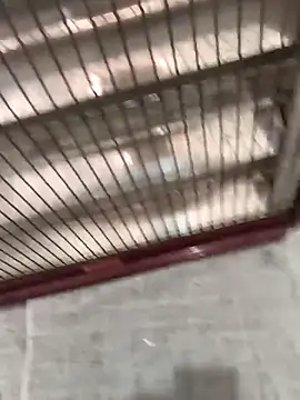 Snapshot of mustican422 chatting on October 25, 11:07 am mustican422 online show from October 25, 11:07 am