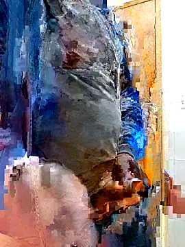 Jeffikuis online show from September 23, 3:31 am