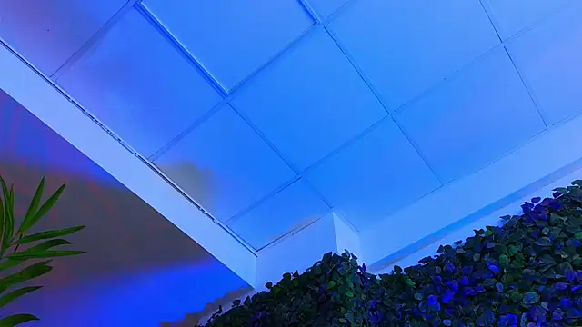 HotSkinnyX online show from February 13, 12:54 pm