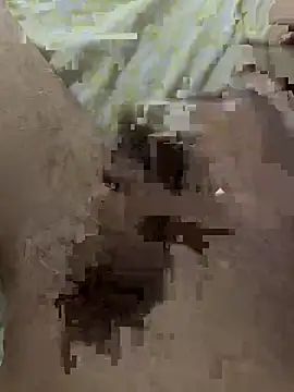 papi88 online show from March 14, 3:34 am