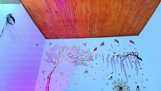 Sofiia Diiaz online show from February 23, 12:35 pm