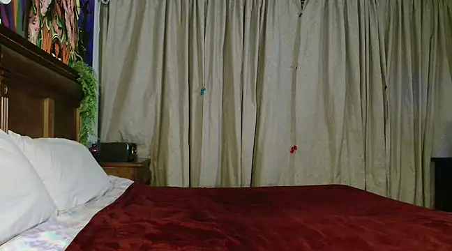 MINI Petite online show from February 19, 7:50 am