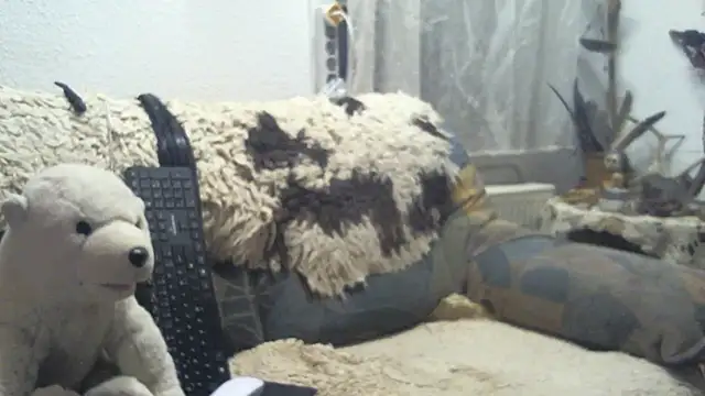 SexySantaC online show from December 16, 9:09 pm