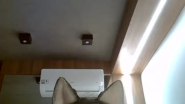 Skinny-Kitten online show from September 20, 2:45 am