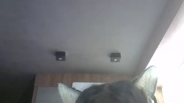 Snapshot of Skinny-Kitten chatting on May 12, 11:51 am Skinny-Kitten online show from May 12, 11:51 am