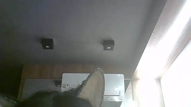 Snapshot of Skinny-Kitten chatting on May 17, 11:17 am Skinny-Kitten online show from May 17, 11:17 am
