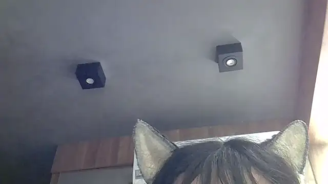 Snapshot of Skinny-Kitten chatting on May 20, 2:29 am Skinny-Kitten online show from May 20, 2:29 am